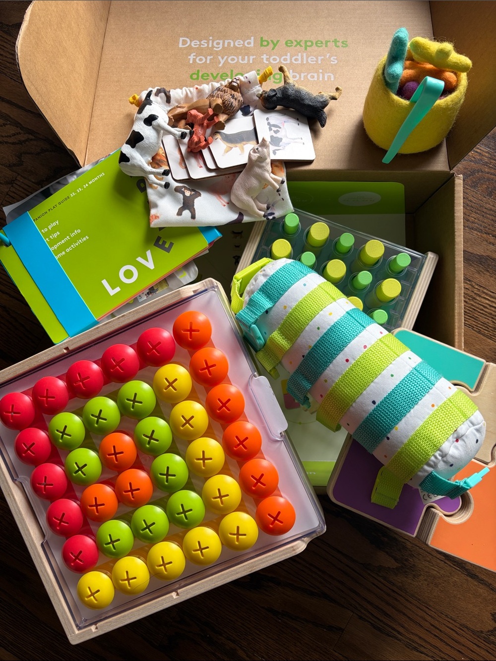LOVEVERY The Companion Play Kit / Months 22, 23, 24
